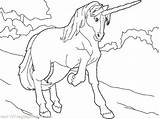 Mewarnai Unicorns Einhorn Letzte Bestappsforkids Migrate Stumble sketch template