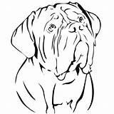 Mastiff Bordeaux Dogue Dog French Sticker Car Stickers Dogs Decal Silhouette Choose Board Drawing sketch template
