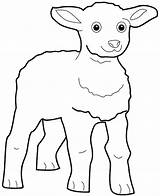 Agneau Coloriage Lamb Imprimer Dessin Coloring Pages Dessiner Colorier sketch template