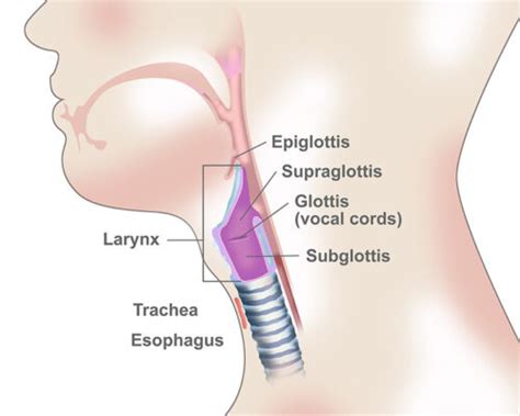 laryngeal cancer affiliated oncologists