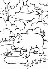 Pig Coloring Pages Animals Print Color из все раскраски категории sketch template
