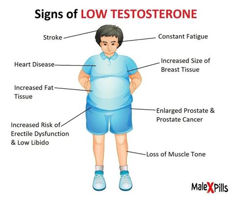 What Does Low Testosterone Mean And Its Effect On Body