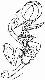 Looney Tunes Dibujos Characters Lola Daffy sketch template