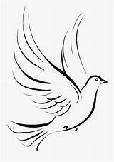 Holy Spirit Dove Clipart Transparent Doves Clipartkey sketch template