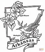 Arkansas Coloring Pages Flag Printable Illinois State Color Colorings Razorbacks Supercoloring Facts Silhouettes Getcolorings Drawing Getdrawings Clipart Categories sketch template