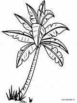 Palm Tree Drawing Coloring Getdrawings Outline Leaves Pages Kids Beach Printable Colouring Line Apple Adult Leaf Clipartmag sketch template