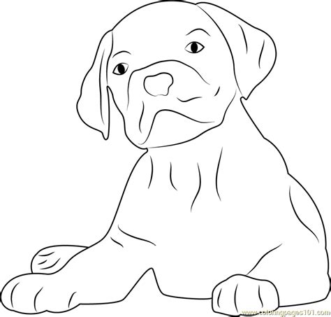 lovely dog face coloring page  dog coloring pages