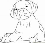 Face Dog Coloring Lovely Coloringpages101 Pages sketch template