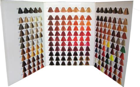 Cheap Salon Professional Hair Color Chart Salon Hair Color Chart For