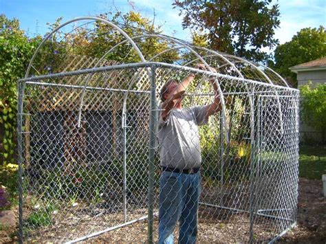 building  greenhouse  cold frame    dog kennel