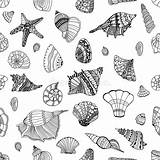 Giunte Reticolo Seashell Cuciture Conchiglia Mare sketch template