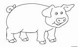 Coloriage Cochon Dessin Imprimer Maternelle Imprimé sketch template