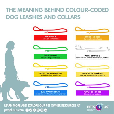 colour coded dog leashes  collars whats  meaning