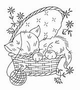 Ricamare Kitten Ricamo Bordar Ricami Ausmalbilder Mmaammbr Sleeping Cliparts Disegno Gattino Tierbabys Applicazione Croce Dorme Nella Kitty Illustrator Macchina Redwork sketch template