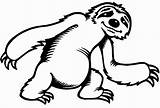 Sloth Perezoso Oso Perezosos Osos Pintar Sid Sloths sketch template