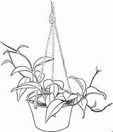 Blumen Zimmerpflanze Malvorlagen Ausmalbilder sketch template