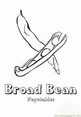 Coloring Bean Broad Beans Vegetables Pages Green Mr Printable Color Getcolorings Online Comments Broadbean Popular sketch template