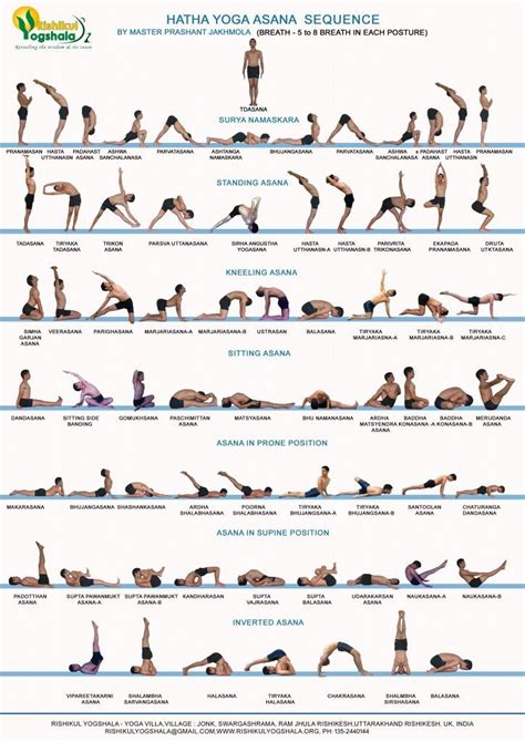hatha yoga primary series  yoga teacher training rishikul yogshala