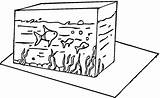 Aquarium Acquario Akwarium Kolorowanki Colorear Ryby Fisch Kolorowanka Disegno Ausmalbild Dzieci Pesci Ausmalen Fische Tegninger Pesciolini Acuario Rybki Peces Fisk sketch template