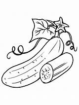 Coloring Cucumber Pages Fruit Cartoon Vegetable Leaf Printable Sheet Choose Board Sheets Popular sketch template