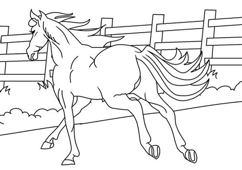 printable horse coloring page  print  color