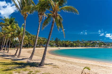 introducing  amazing town airlie beach tourism
