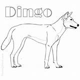 Dingo Coloring Pages Easy Australian Sheets Animals Printable Choose Board Kids sketch template