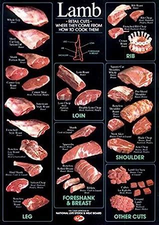 posters lamb cuts cuts  meat chart mini cmxcm amazoncouk