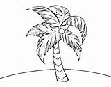 Palm Tree Coloring Coloringcrew sketch template