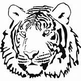 Tiger Outline Coloring Face Drawing Pages Tigers Printable Head Clipart Print Line Lion Cute Clip Clemson Colouring Bengal Template Cartoon sketch template