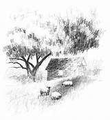 Landscape Caran Artistsnetwork Pen Ache Shading Willenbrink Sketching Picturesque Farmerlife sketch template