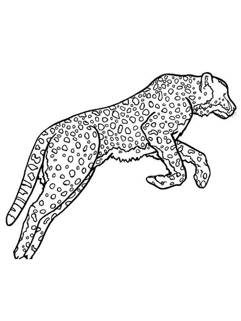 coloring pages wildcats