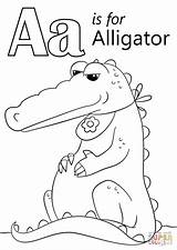 Coloring Alligator Letter Pages Printable Print Preschool Color Alphabet Animals Abc Activities Supercoloring Book Colorings Getdrawings Getcolorings Choose Board Crafts sketch template