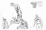 Coloring Kobe Bryant Pages Curry Stephen Nba Getdrawings Basketball Color Printable Drawing Getcolorings Colorings sketch template
