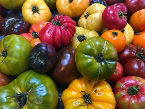 wsmagnet blog   market  heirloom tomatoes  home featured september