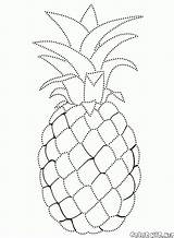Coloring Pineapple Pages Colorkid Fruits sketch template