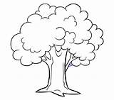 Drawing Cottonwood Printable Baum Easydrawingguides Kindpng Apple 12kb sketch template