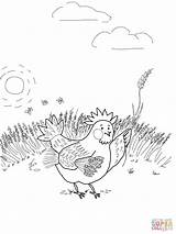 Hen Red Little Wheat Coloring Pages Gathering Online Supercoloring Color sketch template