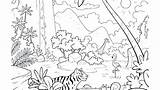 Coloring Rainforest Pages Animals Tropical Layers Kids Color Print Printable Getcolorings Adults Getdrawings Drawing Colorings Template sketch template