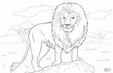 Coloring Lion Pages African Printable Drawing sketch template