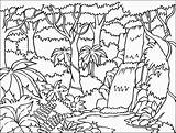 Rainforest Selva sketch template