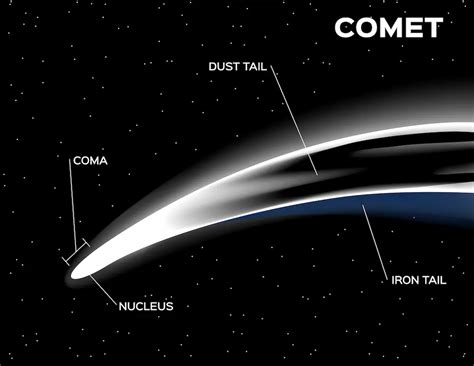 famous comets discovered  astronomers
