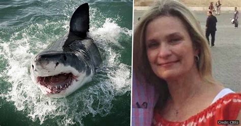 nyc woman killed  shark  maine  started screaming neighbour