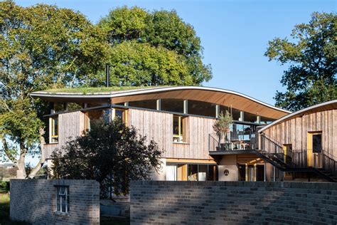 undulating green roof helps creek cabin   harmony