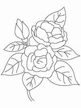 Coloring Flower Camellia Pages sketch template
