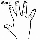 Coloring Mano Hand Para Parts Human Organs Colorear Dibujo Pintar Pages Con sketch template