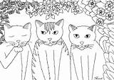 Coloring Cats Funny Pages Cat Tree Animals Simple Kittens Little Three Kids Adults Book Adult Justcolor Cute Animal Easy Printable sketch template