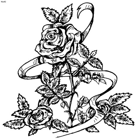 coloring pages  roses coloring home