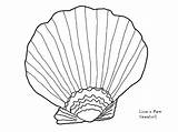 Coloring Sea Pages Seashell Shell Drawing Clam Urchin Zigzag Printable Lion Paw Shells Getcolorings Paintingvalley Open Getdrawings Colorings sketch template
