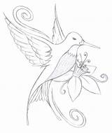 Hummingbird Coloring Drawing Pages Outline Easy Flower Drawings Bird Pencil Tattoo Humming Simple Tattoos Sketch Color Flowers Hummingbirds Rocks Line sketch template
